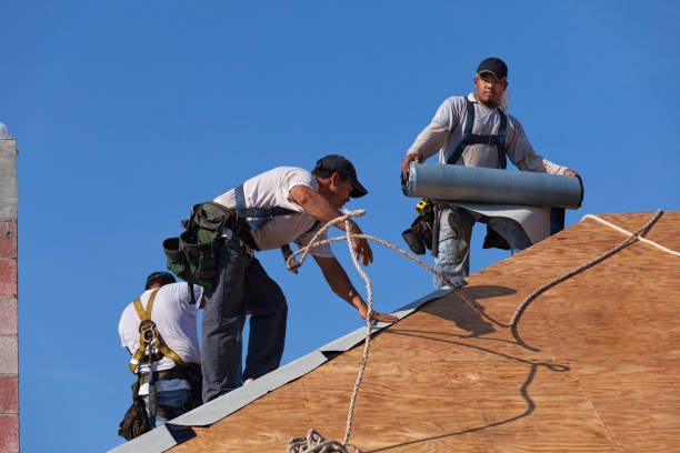 Gutter Installation and Roofing in Leland Grove, IL